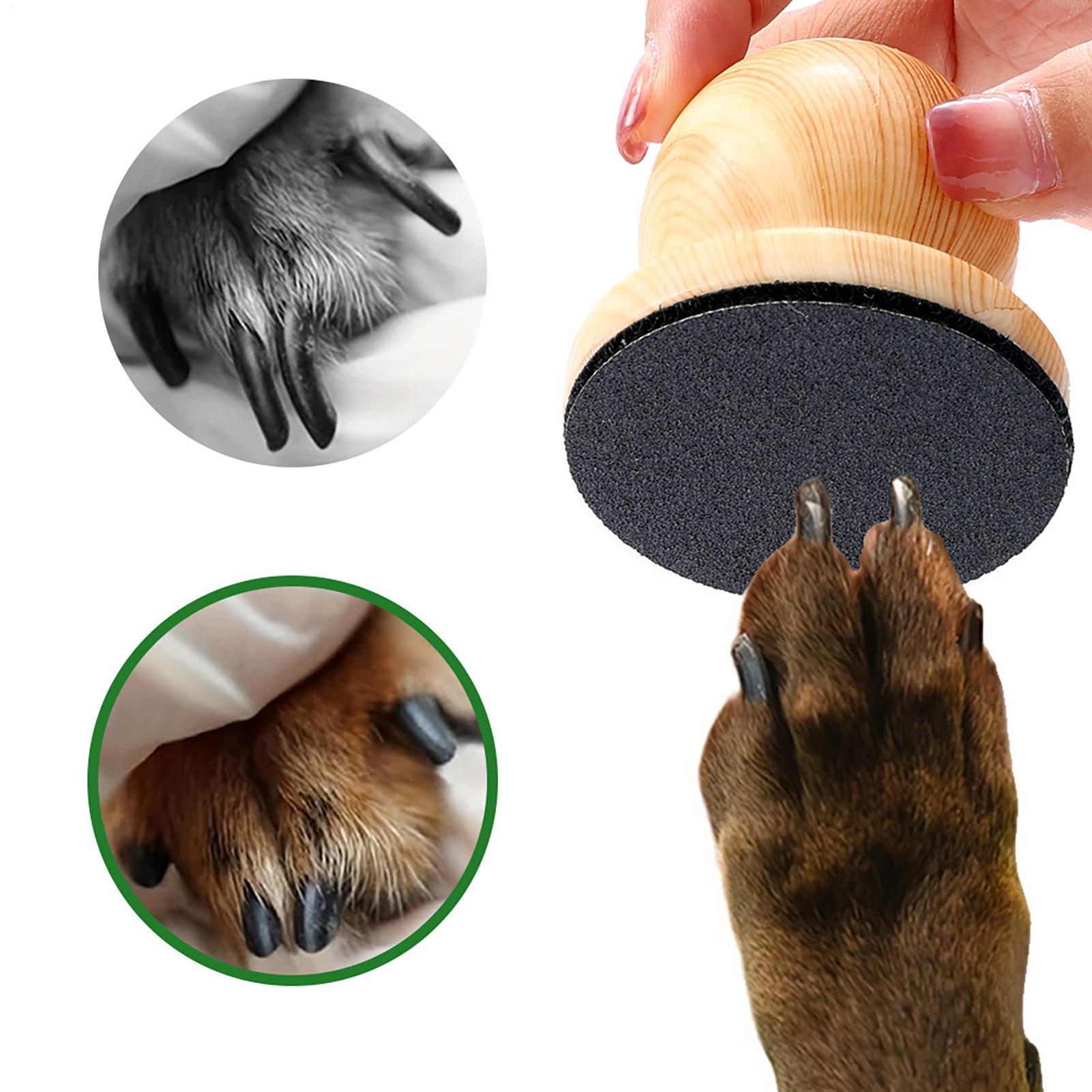 Pet Supplies Nail Trim - Alat Pengikir Kuku Anjing dan Kucing,