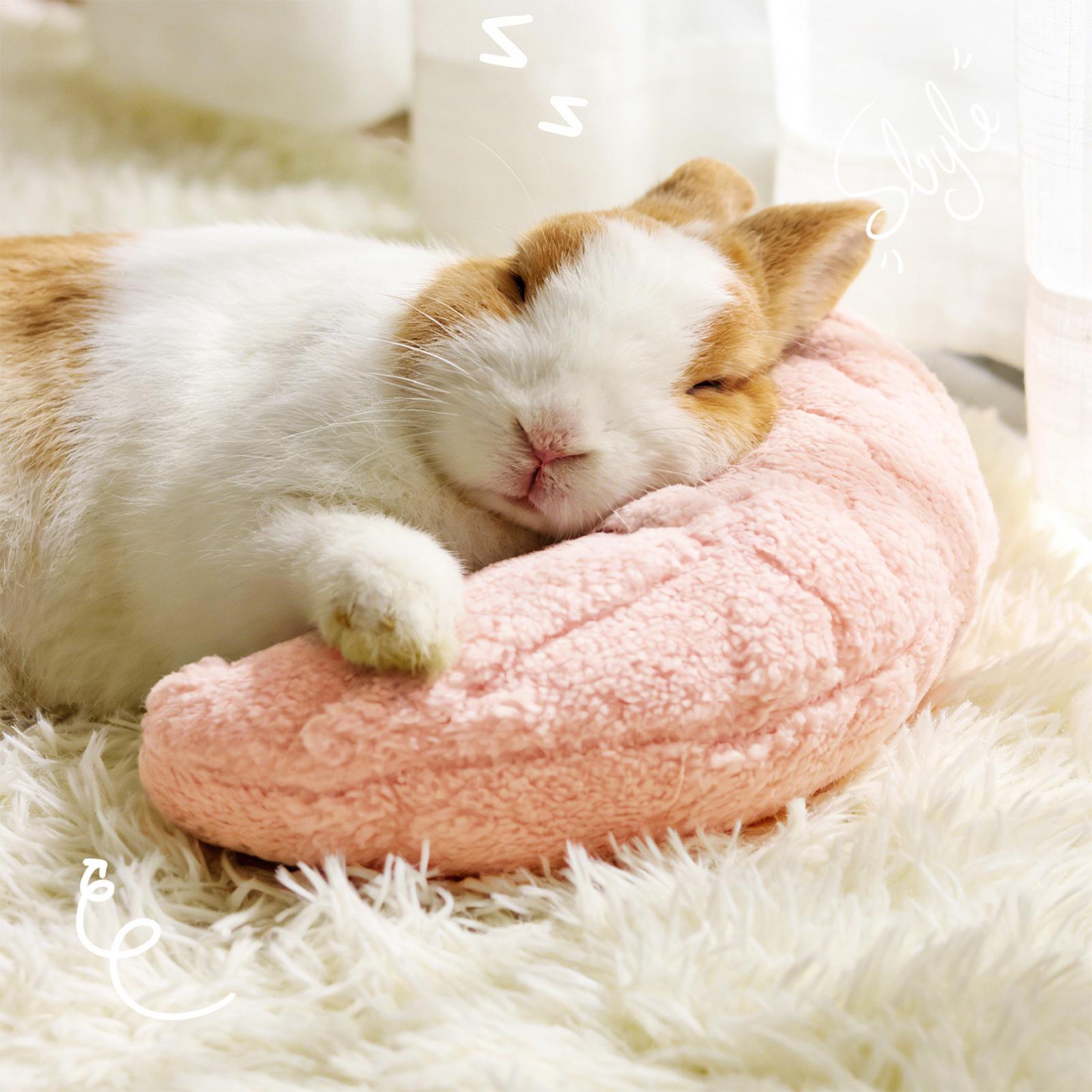 Pet Supplies Nz - Bantal Leher Pelindung Tidur Nyenyak Bentuk