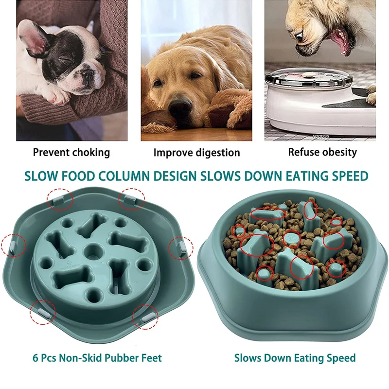 Mangkuk Makan Anjing Slow Feed - Royal Canin Food Medium ulasan dan harga