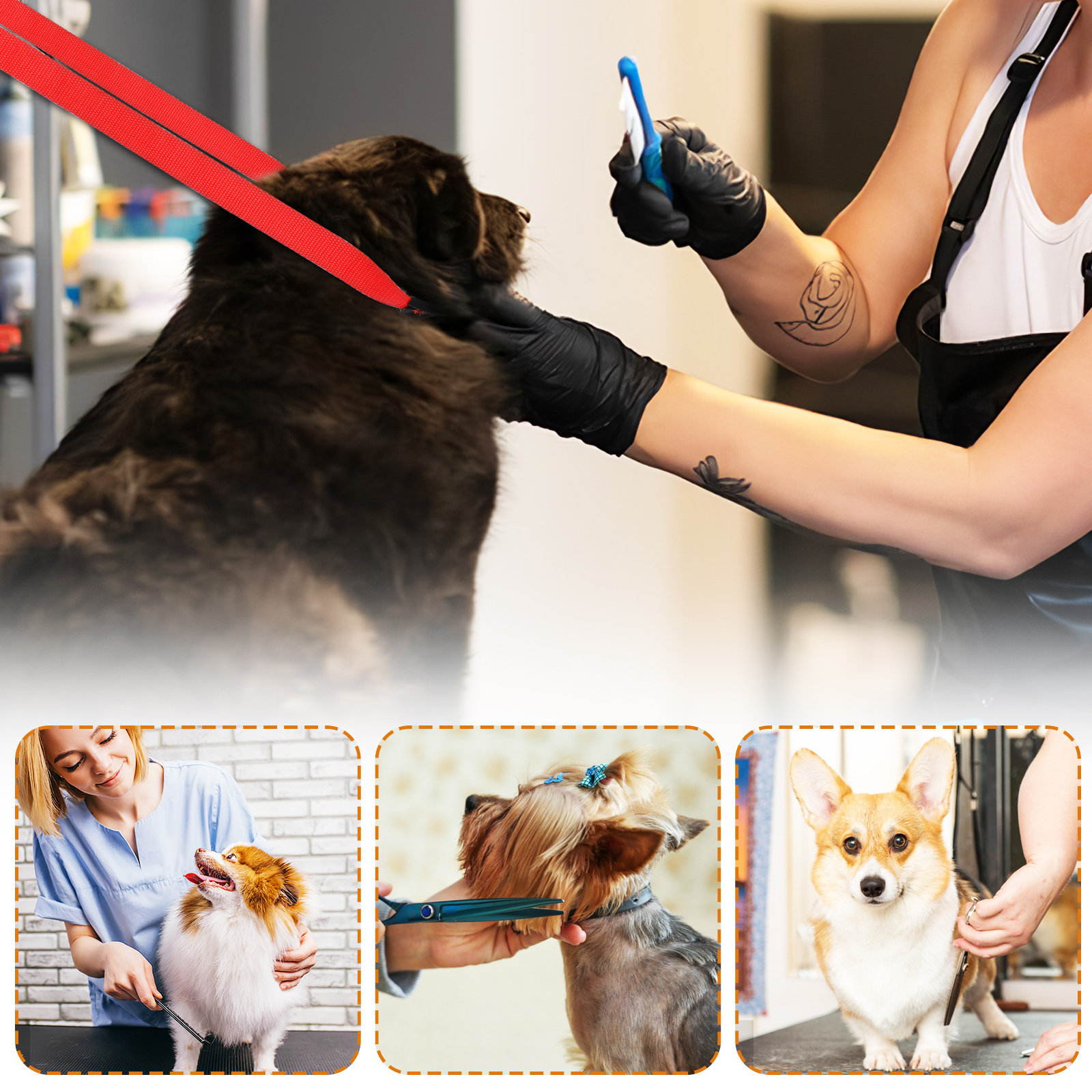 1Set Tali Perawatan Hewan Peli - Pet Supplies Nail Trim ulasan dan harga