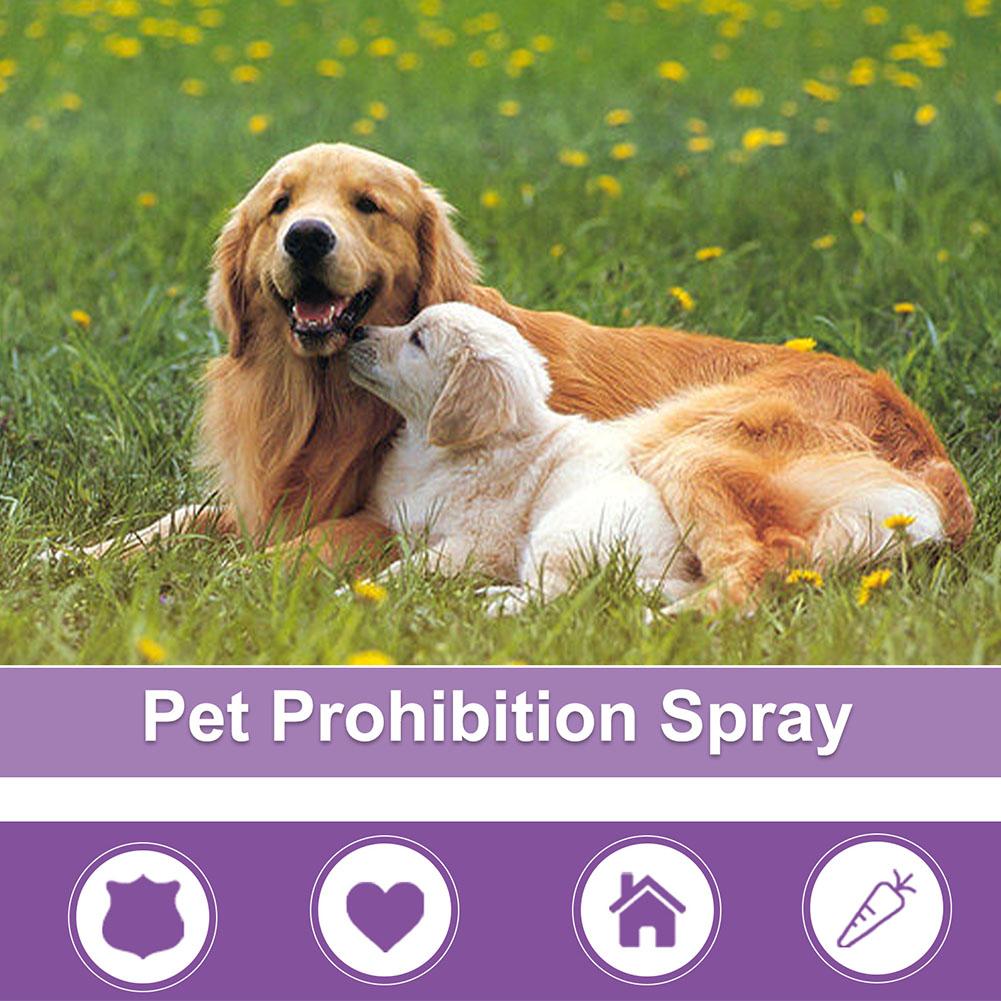 Semprotan Penenang Hewan Pelih - Pet Supplies Nz ulasan dan harga
