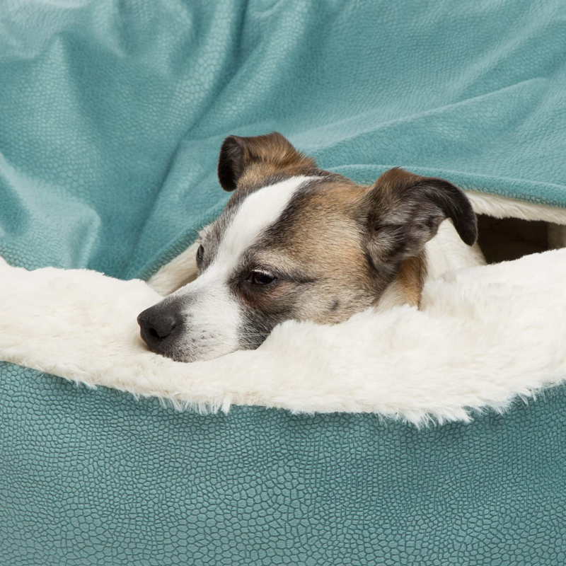 Benepaw Tempat Tidur Anjing Or - Calming Dog Bed ulasan dan harga