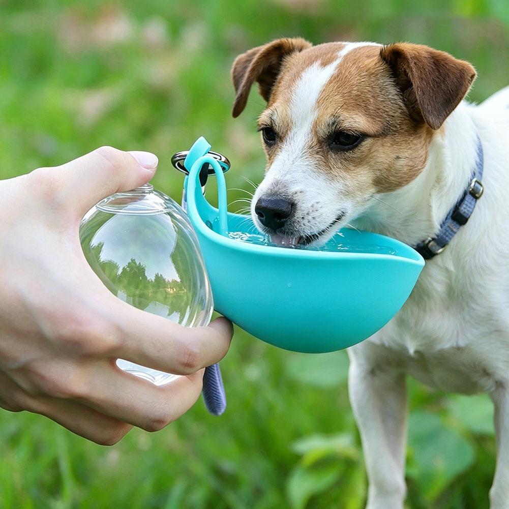 Mangkuk Minum Silikon untuk He - Pet Supplies Dog Food ulasan dan harga