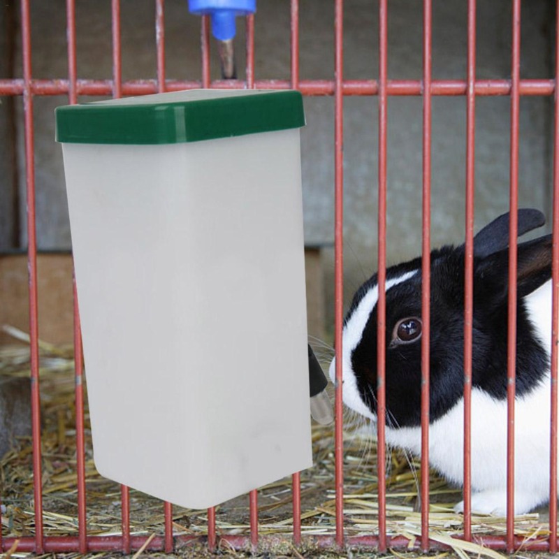 Dispenser Botol Air Minum Hewa - Pet Supplies Nz ulasan dan harga