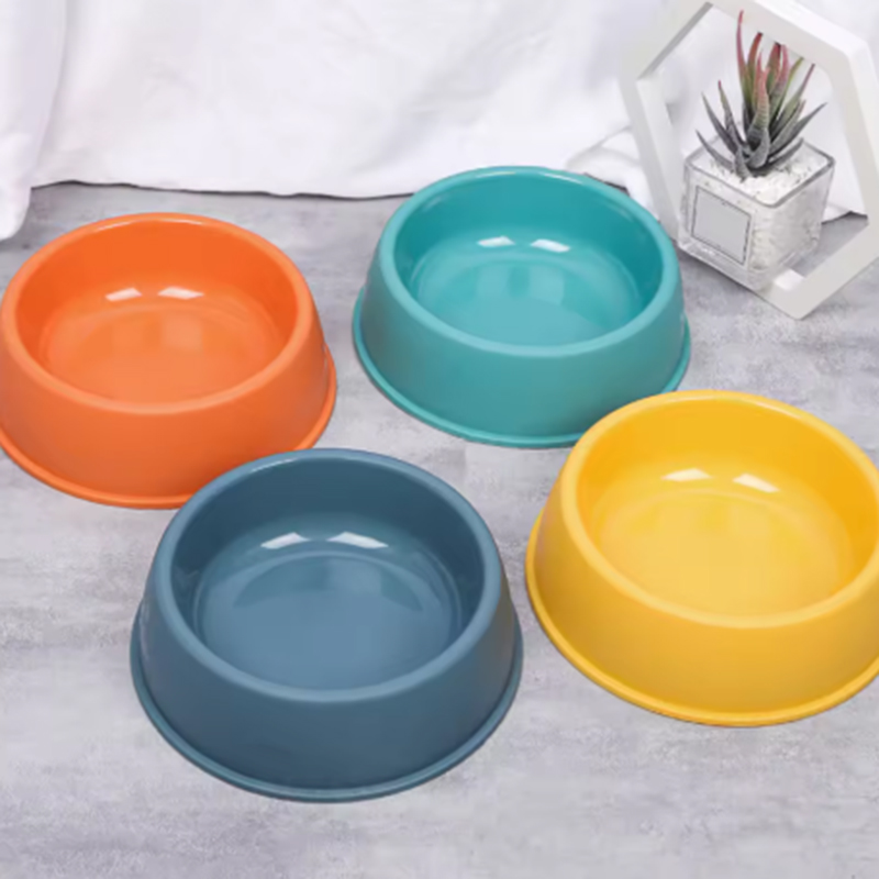 Mangkuk Hewan Peliharaan Warna - Pet Supplies Dog Food ulasan dan harga