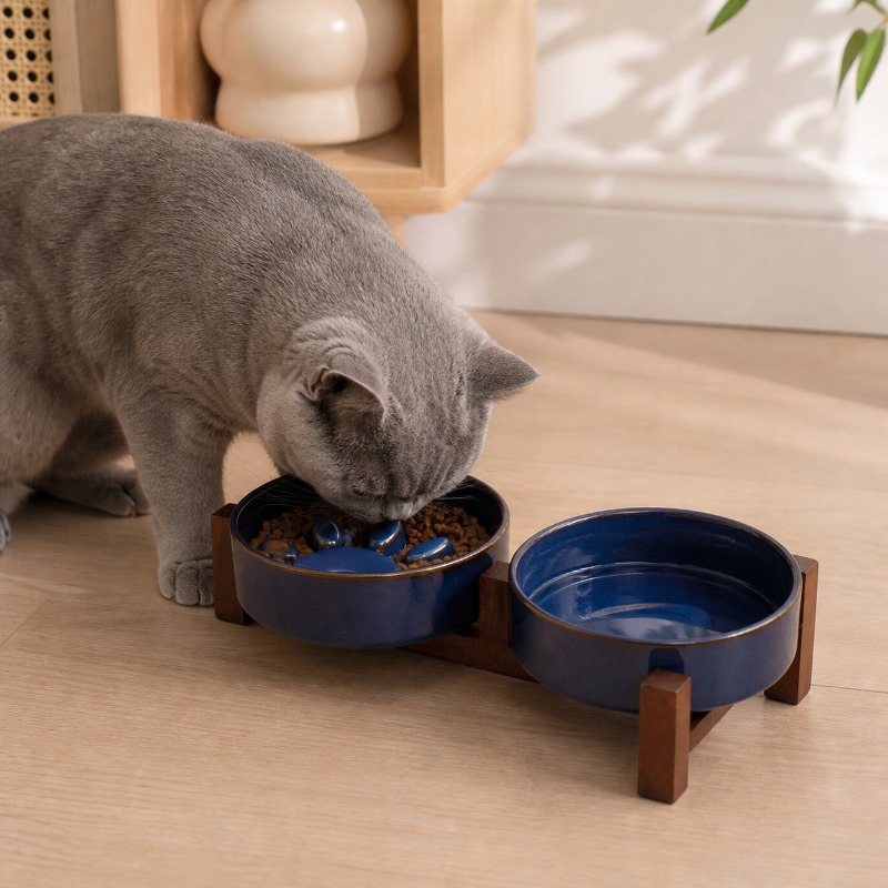 Mangkuk Makanan Hewan Pelihara - Royal Canin Food Medium ulasan dan harga