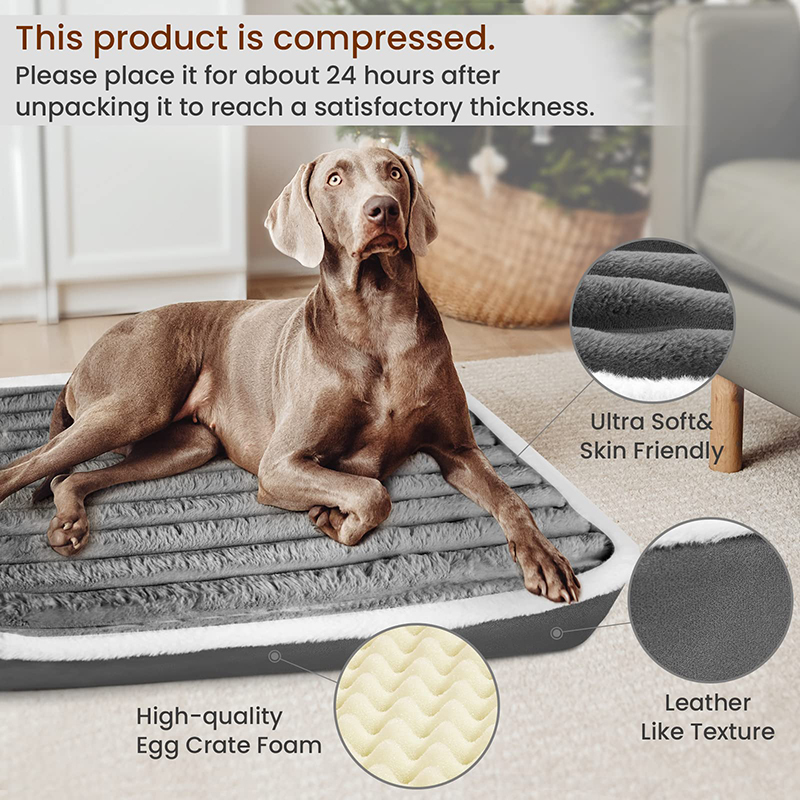 Benepaw tempat tidur anjing or - Calming Dog Bed ulasan dan harga